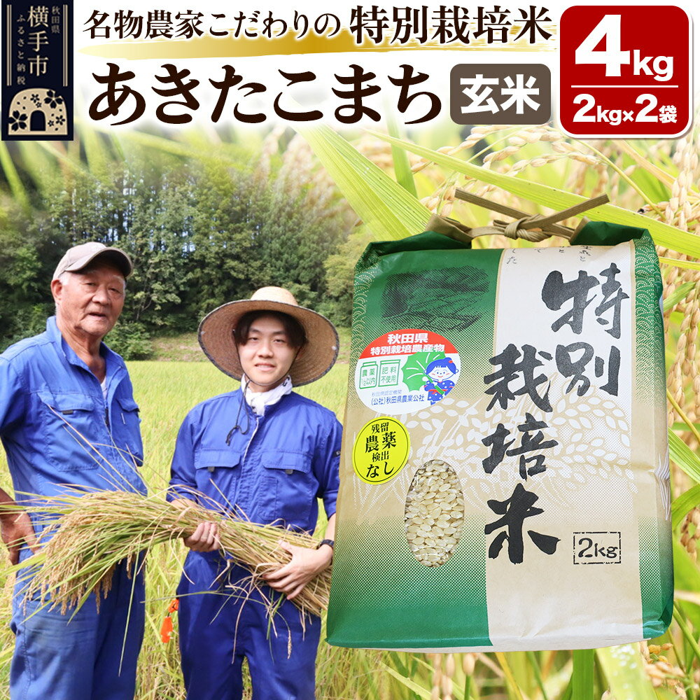 [玄米][令和6年産]名物農家こだわりの特別栽培米 あきたこまち 4kg(2kg×2袋)