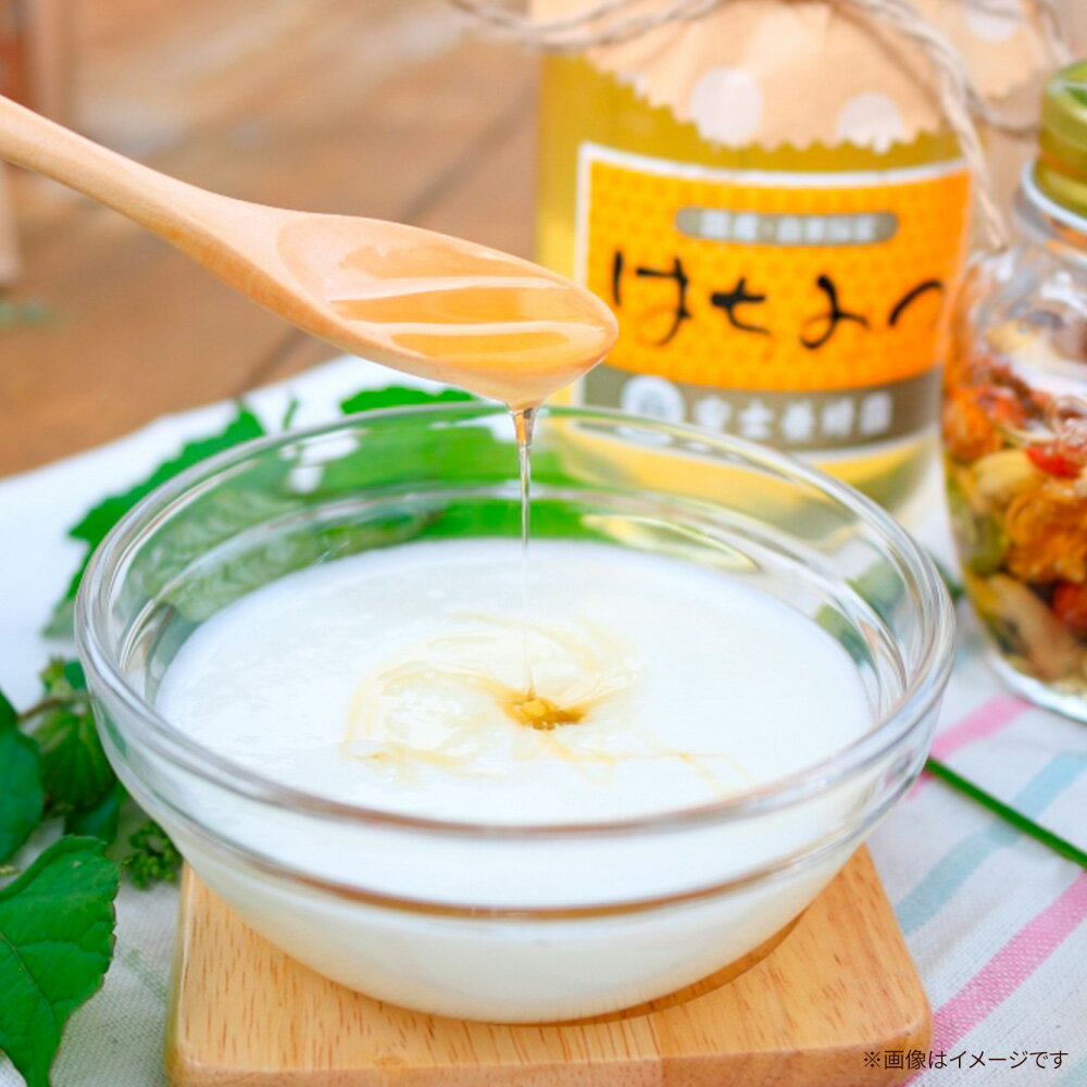 【ふるさと納税】けんぽなしはちみつ 1200g