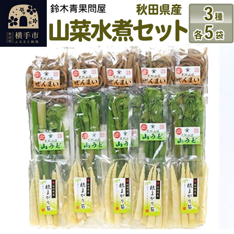 【ふるさと納税】秋田県産 山菜水煮セット (3種) 各5袋のサムネイル