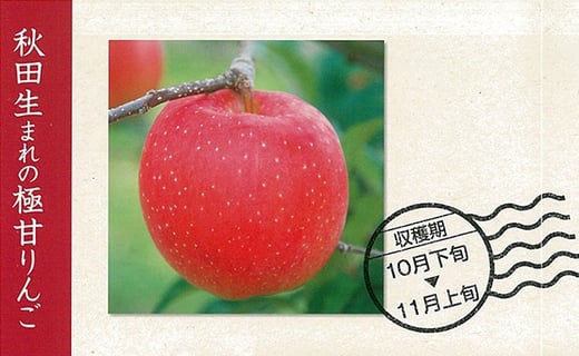 【ふるさと納税】【先行予約】【数量限定・期間限定】陽気な母さん 秋田限定りんご「秋田紅あかり」 5kg 【105P3401】 リンゴ 林檎 詰合せ セット 季節 数量限定 大館市 秋田県 ギフト フルーツ 果物【陽気な母さんの店(株)】