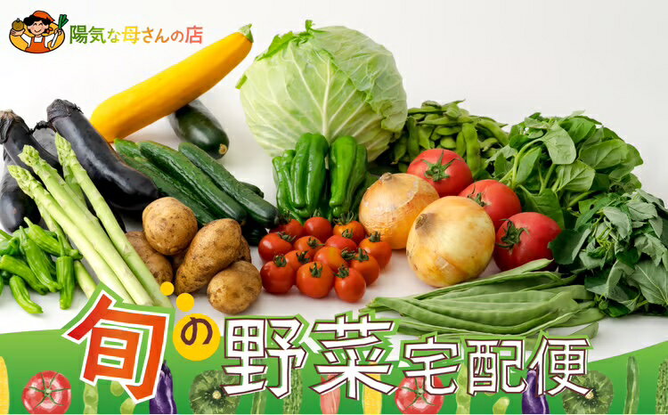 野菜 果物 手づくり 加工品 宅配便 セット ベジタブル 詰め合わせ サラダ フルーツ 農作物 第8回地域再生大賞受賞 秋田の味 旬 新鮮 秋田県 大館市 お取り寄せ 秋田 特産品 お取り寄グルメ お土産 国産 食品 送料無料[陽気な母さんの店(株)]