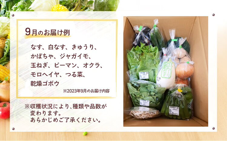 【ふるさと納税】野菜 果物 手づくり 加工品 宅配便 セット ベジタブル 詰め合わせ サラダ フルーツ 農作物 第8回地域再生大賞受賞 秋田の味 旬 新鮮 秋田県 大館市 お取り寄せ 秋田 特産品 お取り寄グルメ お土産 国産 食品 送料無料【陽気な母さんの店(株)】