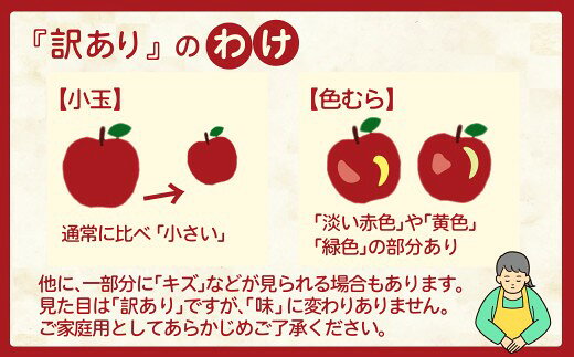 【ふるさと納税】【先行予約】【数量限定・期間限定】陽気な母さんの【訳あり】りんご「ふじ」 5kg リンゴ 林檎 訳アリ 訳あり商品 詰合せ セット 季節 数量限定 大館市 秋田県 陽気な母さんの店 送料無料 ギフト フルーツ 果物 ふじ 50P009001【陽気な母さんの店(株)】