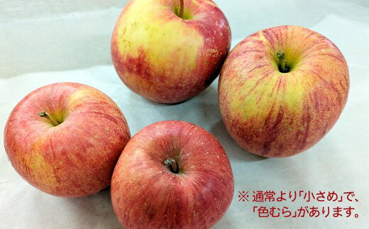 【ふるさと納税】【先行予約】【数量限定・期間限定】陽気な母さんの【訳あり】りんご「ふじ」 5kg リンゴ 林檎 訳アリ 訳あり商品 詰合せ セット 季節 数量限定 大館市 秋田県 陽気な母さんの店 送料無料 ギフト フルーツ 果物 ふじ 50P009001【陽気な母さんの店(株)】 f052043-odate-10000289 秋田県大館市 サンプル画像3