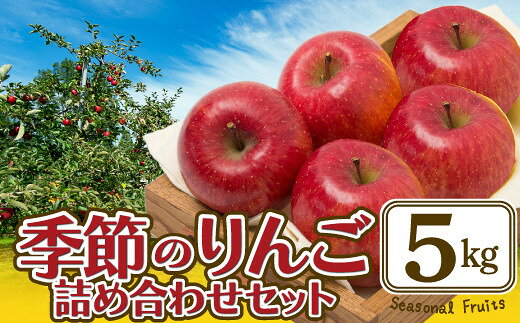【ふるさと納税】【先行予約】【数量限定・期間限定】季節のりんご詰め合わせセット 5kg 75P3407 リンゴ 林檎 詰合せ セット 季節 数量限定 大館市 ギフト フルーツ 果物 ふじ 紅あかり 王林 シナノゴールド【陽気な母さんの店(株)】