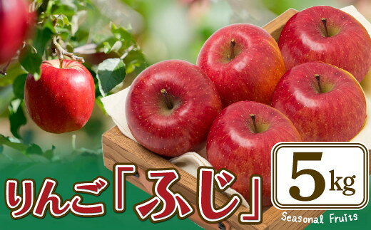[先行予約][数量限定・期間限定]陽気な母さんのりんご「ふじ」 5kg [75P3408] リンゴ 林檎 詰合せ セット 季節 数量限定 大館市 秋田県 陽気な母さんの店 送料無料 ギフト フルーツ 果物 ふじ[陽気な母さんの店(株)]