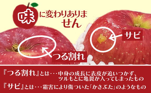 【ふるさと納税】【先行予約】【数量限定・期間限定】陽気な母さんの【訳あり】りんご「ふじ」 10kg リンゴ 林檎 訳アリ 訳あり商品 詰合せ セット 季節 数量限定 大館市 秋田県 陽気な母さんの店 送料無料 ギフト フルーツ 果物 ふじ 85P009002【陽気な母さんの店(株)】