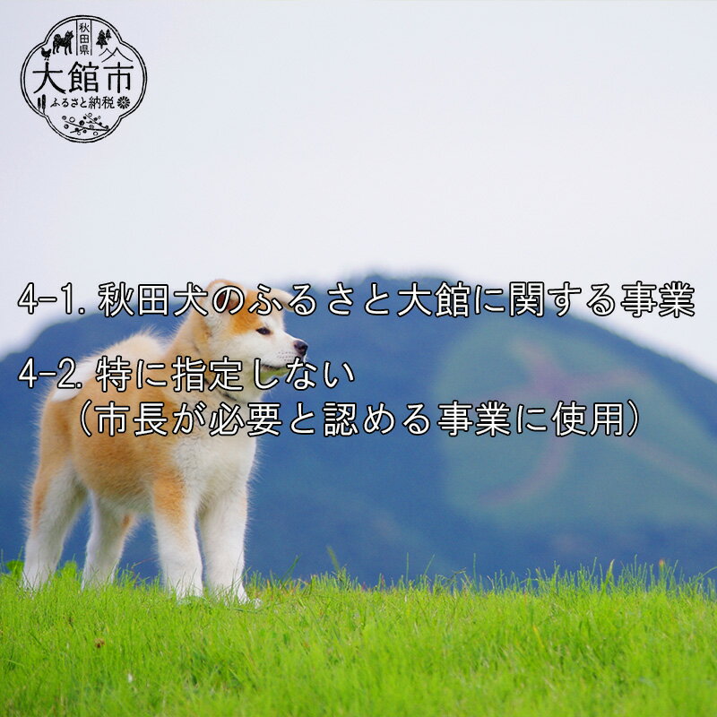 秋田県大館市の画像3