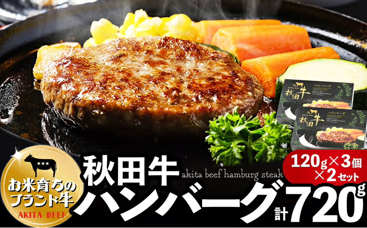 【ふるさと納税】秋田牛ハンバーグ720g（120g×3個 2セット） 東日本物産株式会社 食品 牛肉 国産 東北 秋田県 送料無料 115P2601【東日本物産(株)】