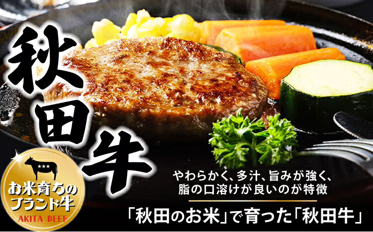 【ふるさと納税】秋田牛ハンバーグ720g（120g×3個 2セット） 東日本物産株式会社 食品 牛肉 国産 東北 秋田県 送料無料 115P2601【東日本物産(株)】