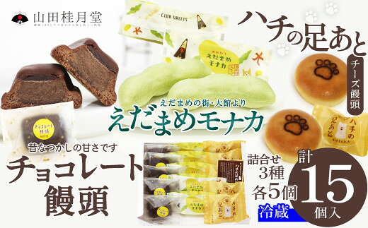 詰合せ3種セット（ハチの足あと・えだ豆もなか・チョコレート饅頭） 各5個入り 【65P023017】【(株)山田桂月堂】