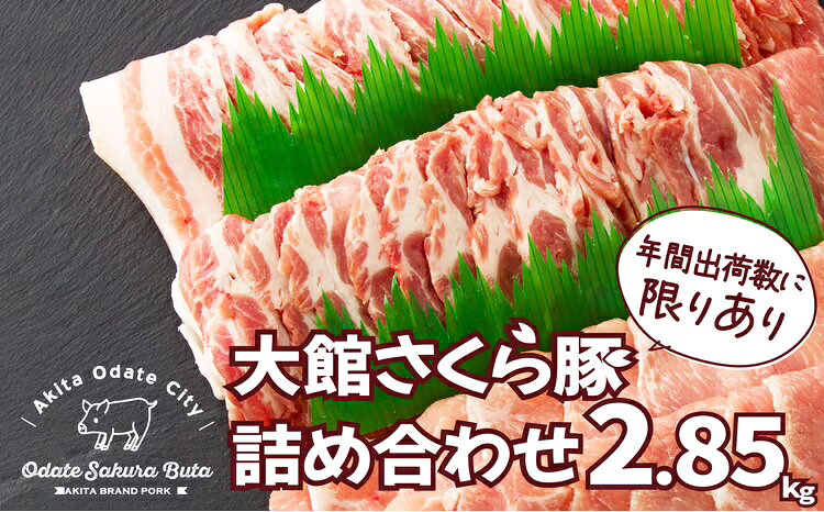大館さくら豚詰め合わせ2.85kg 175P2151【田村精肉店】