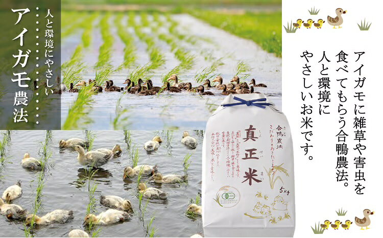 【ふるさと納税】【令和7年産先行受付】秋田県産有機JAS認証米あきたこまち「真正米」 5kg×1袋 【2025年産 白米 精米 東北産 粘り 弾力性 節約 手間なし 国産 旨み 香り 栄養 のし対応可能 おにぎり お弁当 送料無料】 90P9034【(有)真正ファーム】