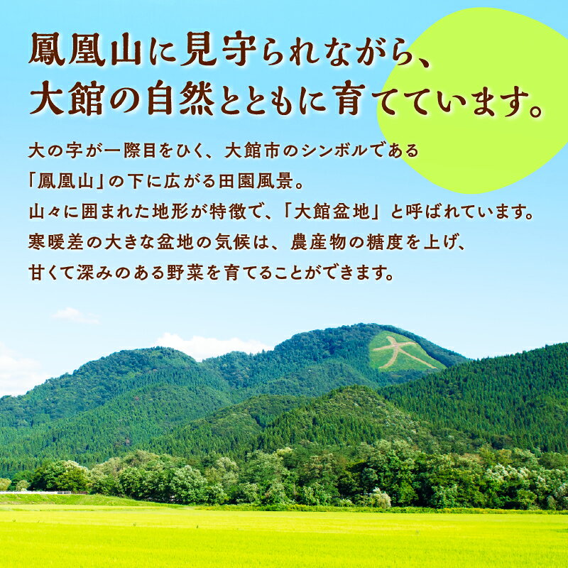 【ふるさと納税】【令和8年産】ホタルが舞う清らかな環境で育った「あきたこまち」10kg 先行予約 精米 白米 お米 弁当 おにぎり 冷めてもおいしい お取り寄せ 食品 送料無料 東北 秋田県 大館市 秋田 秋田産 大館産【(有)アグリ川田】【ふるさと納税3.0】 f052043-odate-10000868 秋田県大館市 サンプル画像2