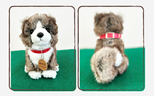 【ふるさと納税】＜よちよちあきた＞秋田犬虎毛ぬいぐるみ 座り Sサイズ 【45P7315】【(公社)秋田犬保存会】