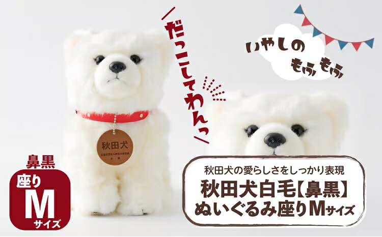 秋田犬白毛(鼻黒)ぬいぐるみ 座りMサイズ[(公社)秋田犬保存会]
