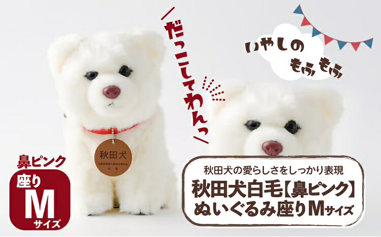 65P7305 秋田犬白毛(鼻ピンク)ぬいぐるみ 座りMサイズ【(公社)秋田犬保存会】