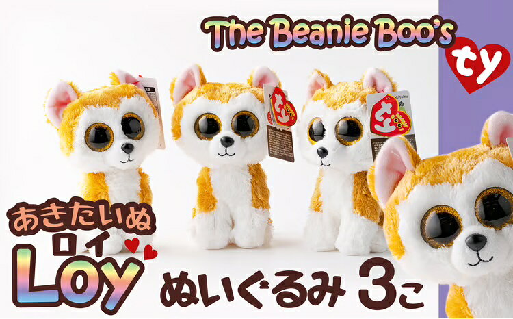 60P7320 Tyぬいぐるみ秋田犬Loy(ロイ)3個セット【花ドーム(株)】