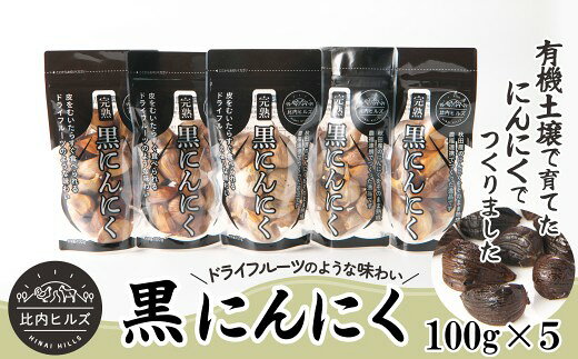 【ふるさと納税】比内ヒルズ熟成黒にんにく100g×5袋 【95P5703】 ニンニク 国産 スタミナ 野菜 黒ニンニク くろにんにく クロニンニク 和食 和 日本食 おつまみ おかず お取り寄せ グルメ 秋田県 大館市 送料無料 東北 でんろく【比内ヒルズ】