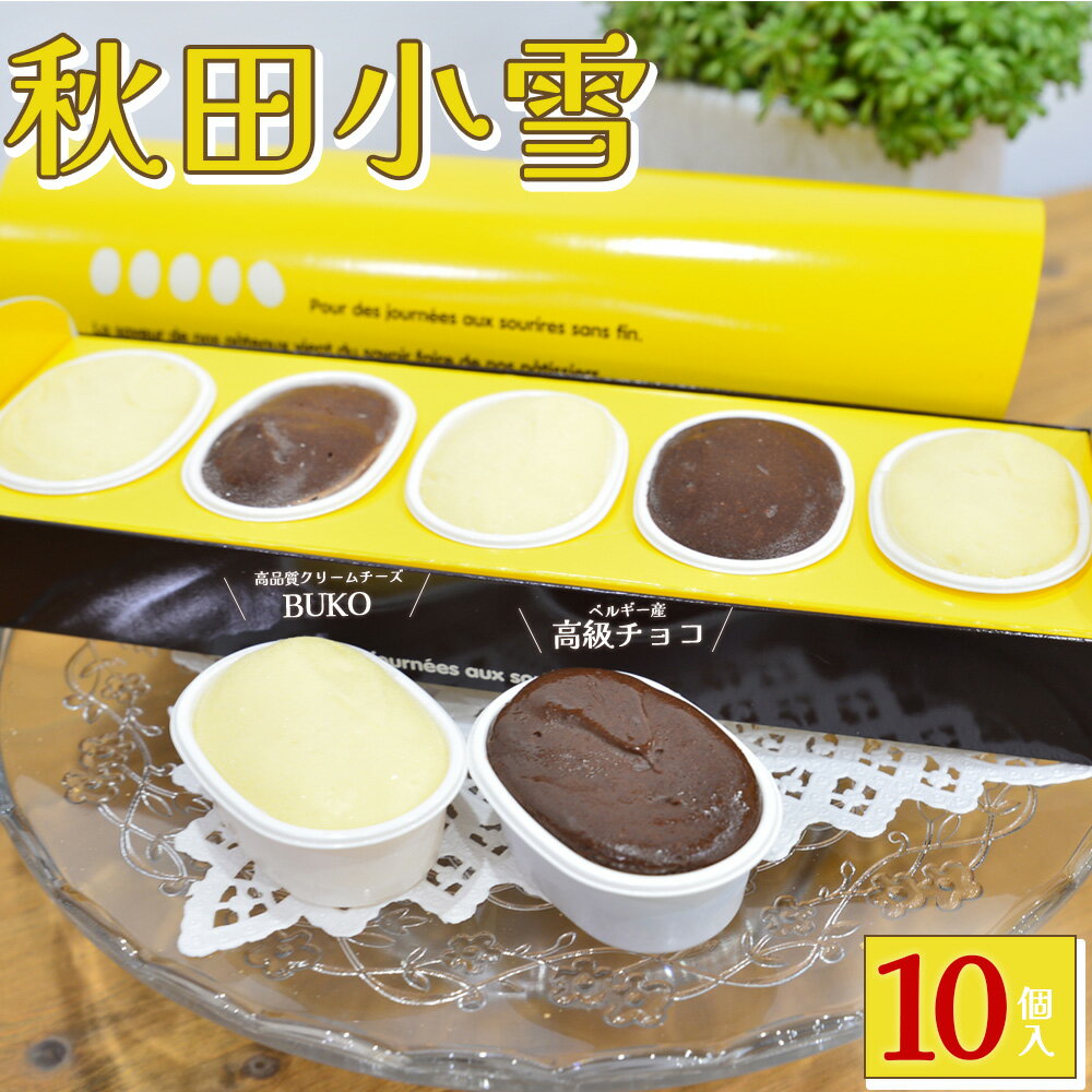 【ふるさと納税】秋田小雪10個入 小分け チーズ チョコレー