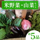 【ふるさと納税】米野菜・山菜セット(5品目ほど)【115P3203】 米 白米 あきたこまち 精米 旬 野菜 山菜 秋田県 大館市 送料無料