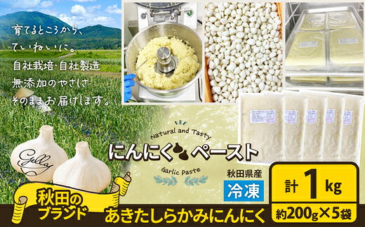 【ふるさと納税】【内容量が選べる！】あきたしらかみにんにく 冷凍ペースト 600g〜2.5kg 【40P3220・60P3218・150P3202】 にんにく ニンニク 東北 秋田 大館 国産 薬味 スタミナ 野菜 秋田県 大館市 送料無料【(株)gella】