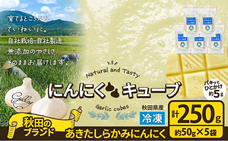 [あきたしらかみ]にんにくCUBE 250g(1袋約50g×5袋) [90P121004] にんにく ニンニク 東北 秋田 大館 国産 スタミナ 野菜 秋田県 大館市 送料無料[(株)gella]