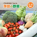 【ふるさと納税】季節の野菜セット 5~6種類 【70P3207】野菜 やさい 農薬・化学肥料不使用 お取り寄せ 東北 秋田県 送料無料 OHANA farm