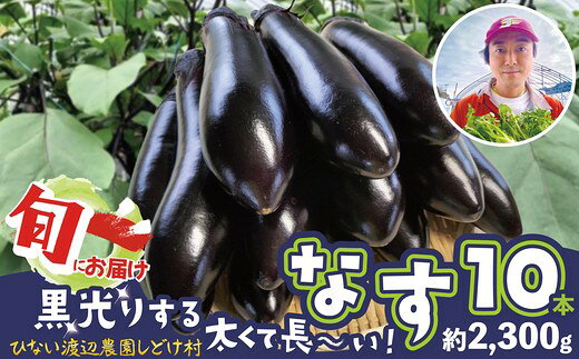 【ふるさと納税】【選べる内容量！】黒光りする太くて長いナス！ 10〜30本【40P3224・80P3207・120P3206】【ひない渡辺農園しどけ村】