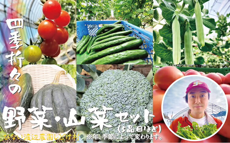 四季折々の野菜・山菜セット(5品目ほど)[45P3203][ひない渡辺農園しどけ村]