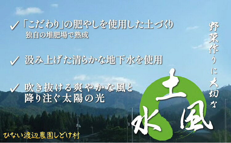 【ふるさと納税】四季折々の野菜・山菜セット（5品目ほど）【45P3203】【ひない渡辺農園しどけ村】