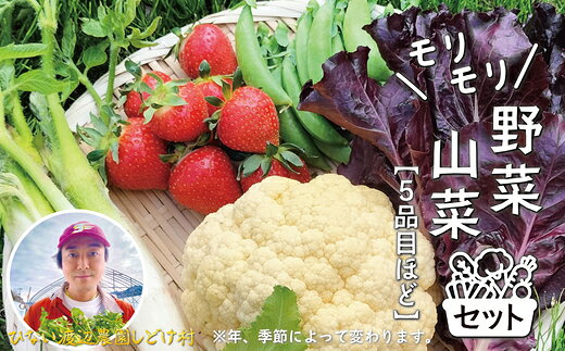 【ふるさと納税】モリモリ野菜・山菜セット（5品目ほど）【75P3205】【ひない渡辺農園しどけ村】