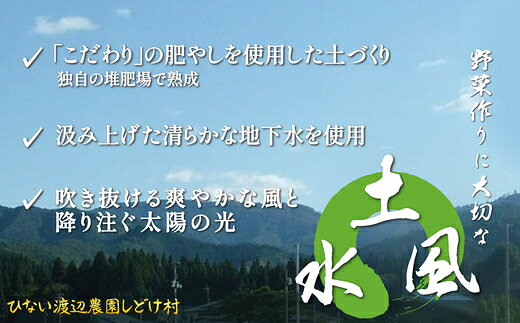 【ふるさと納税】モリモリ野菜・山菜セット（5品目ほど）【75P3205】【ひない渡辺農園しどけ村】