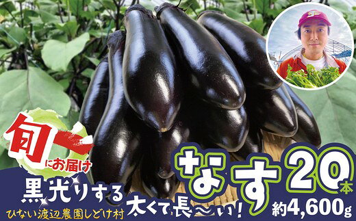 【ふるさと納税】【選べる内容量！】黒光りする太くて長いナス！ 10〜30本【40P3224・80P3207・120P3206】【ひない渡辺農園しどけ村】