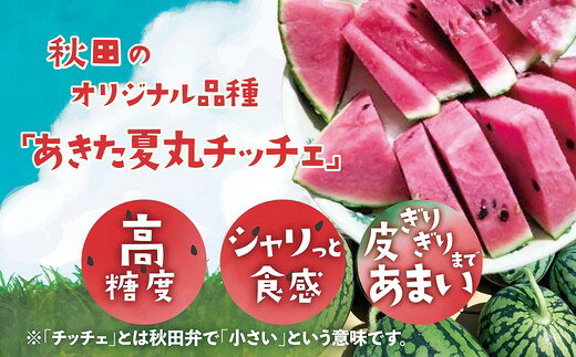 【ふるさと納税】【選べるサイズ！】シャリっと甘い小玉スイカ！あきた夏丸チッチェ 【50P3424・60P3405・70P3404・80P3406・90P3404】【ひない渡辺農園しどけ村】