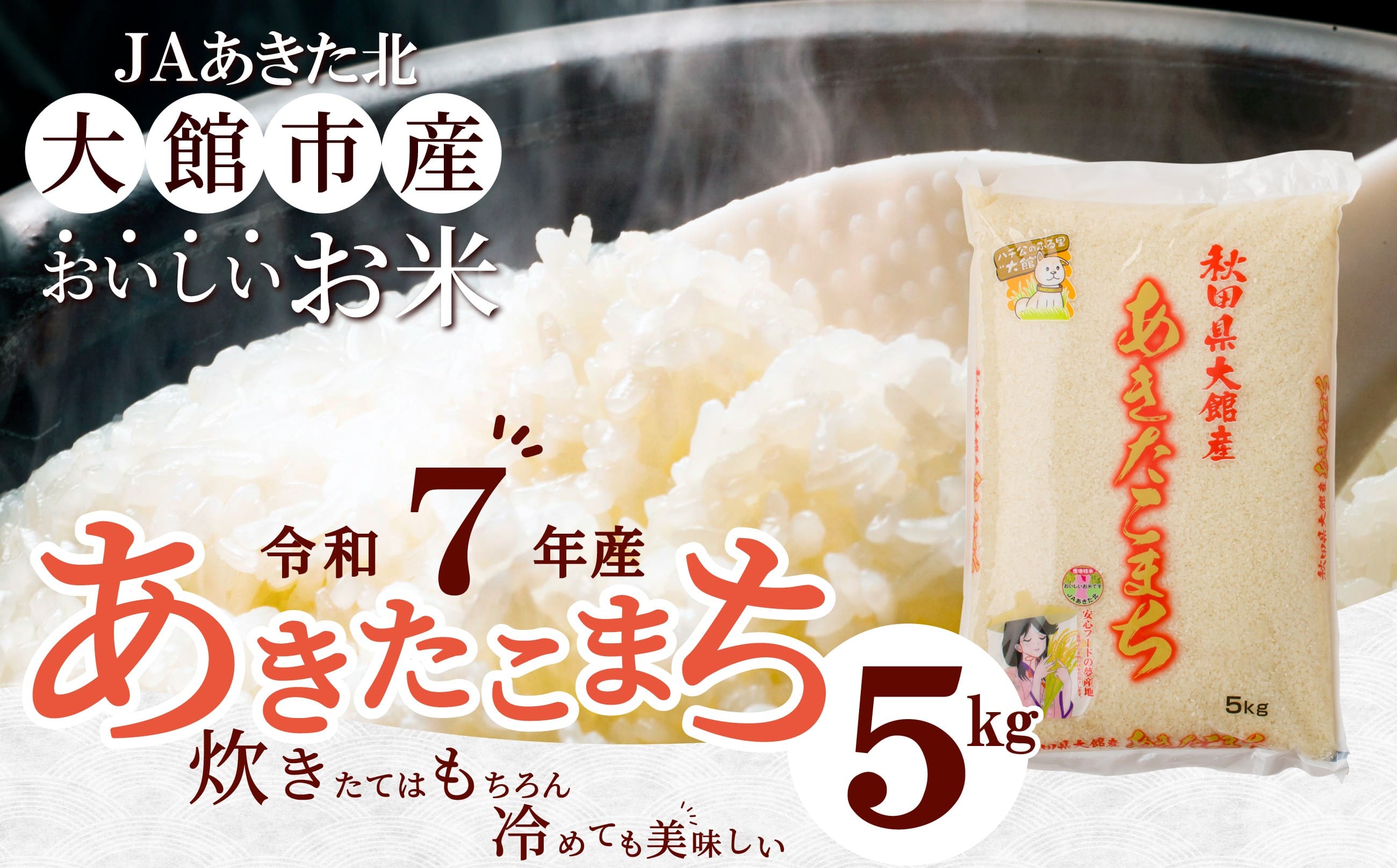米 5kg あきたこまち 白米 令和7年産 秋田県産 国産 お取り寄せ 精米 食品 おにぎり 弁当 もちもち 粘り 弾力 旨み 冷めてもおいしい 専用箱付き 東北 秋田県 送料無料 農協 JAあきた北精米センター 60P9019