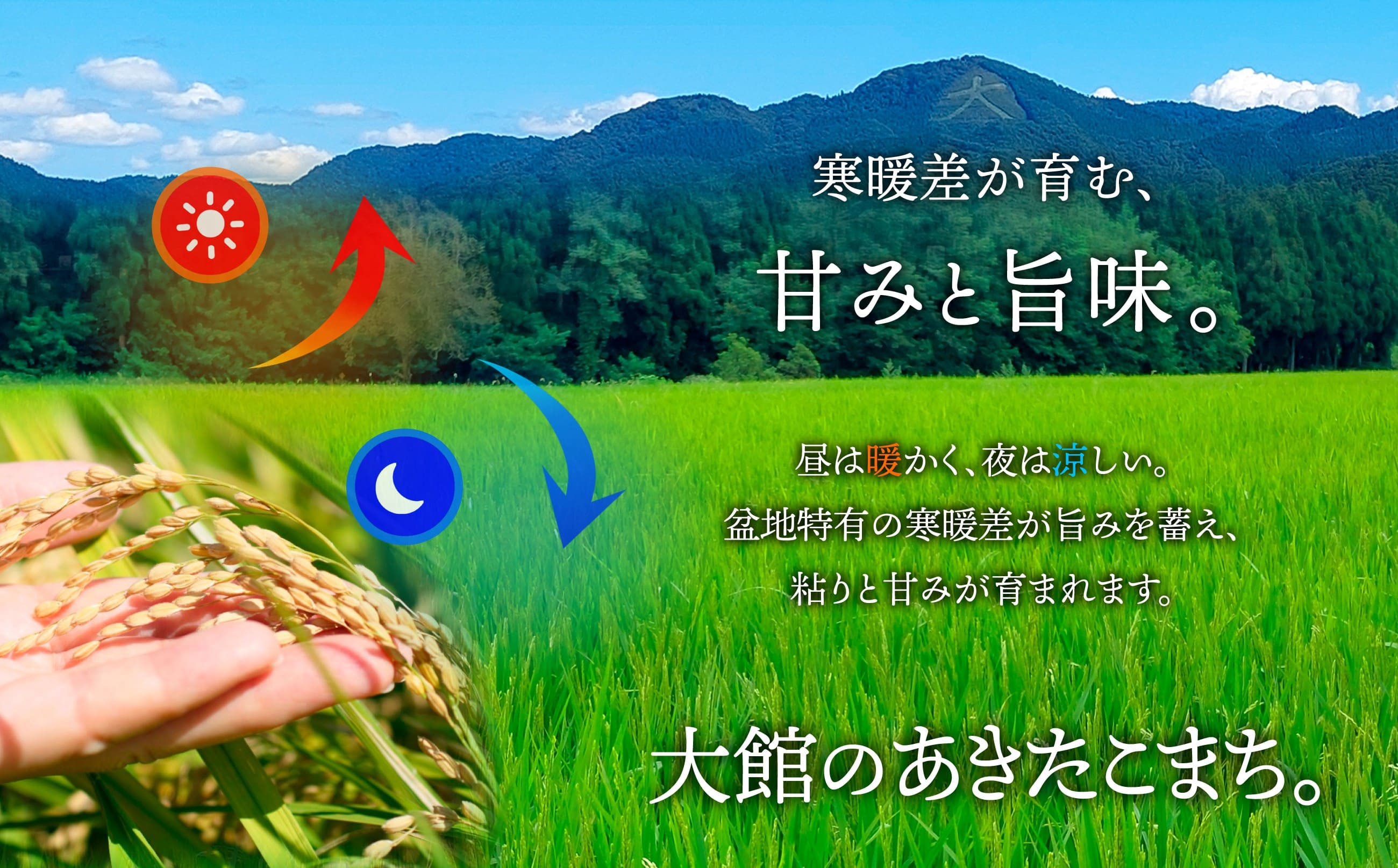【ふるさと納税】米 5kg あきたこまち 白米 令和7年産 秋田県産 国産 お取り寄せ 精米 食品 おにぎり 弁当 もちもち 粘り 弾力 旨み 冷めてもおいしい 専用箱付き 東北 秋田県 送料無料 農協 JAあきた北精米センター 60P9019