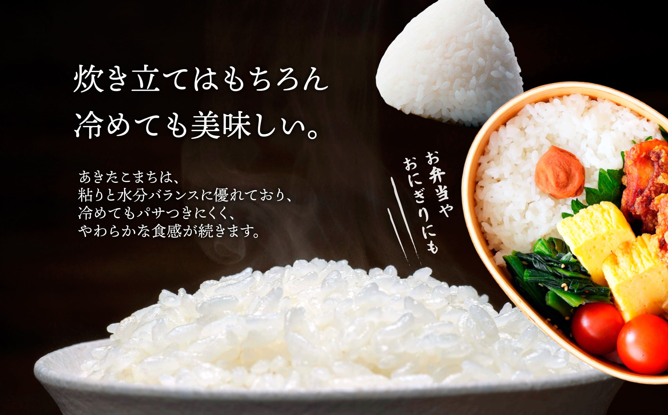 【ふるさと納税】米 5kg あきたこまち 白米 令和7年産 秋田県産 国産 お取り寄せ 精米 食品 おにぎり 弁当 もちもち 粘り 弾力 旨み 冷めてもおいしい 専用箱付き 東北 秋田県 送料無料 農協 JAあきた北精米センター 60P9019