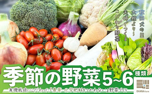 【ふるさと納税】季節の野菜セット 5〜6種類 【70P3207】野菜 やさい 農薬・化学肥料不使用 お取り寄せ 東北 秋田県 送料無料【OHANA farm】