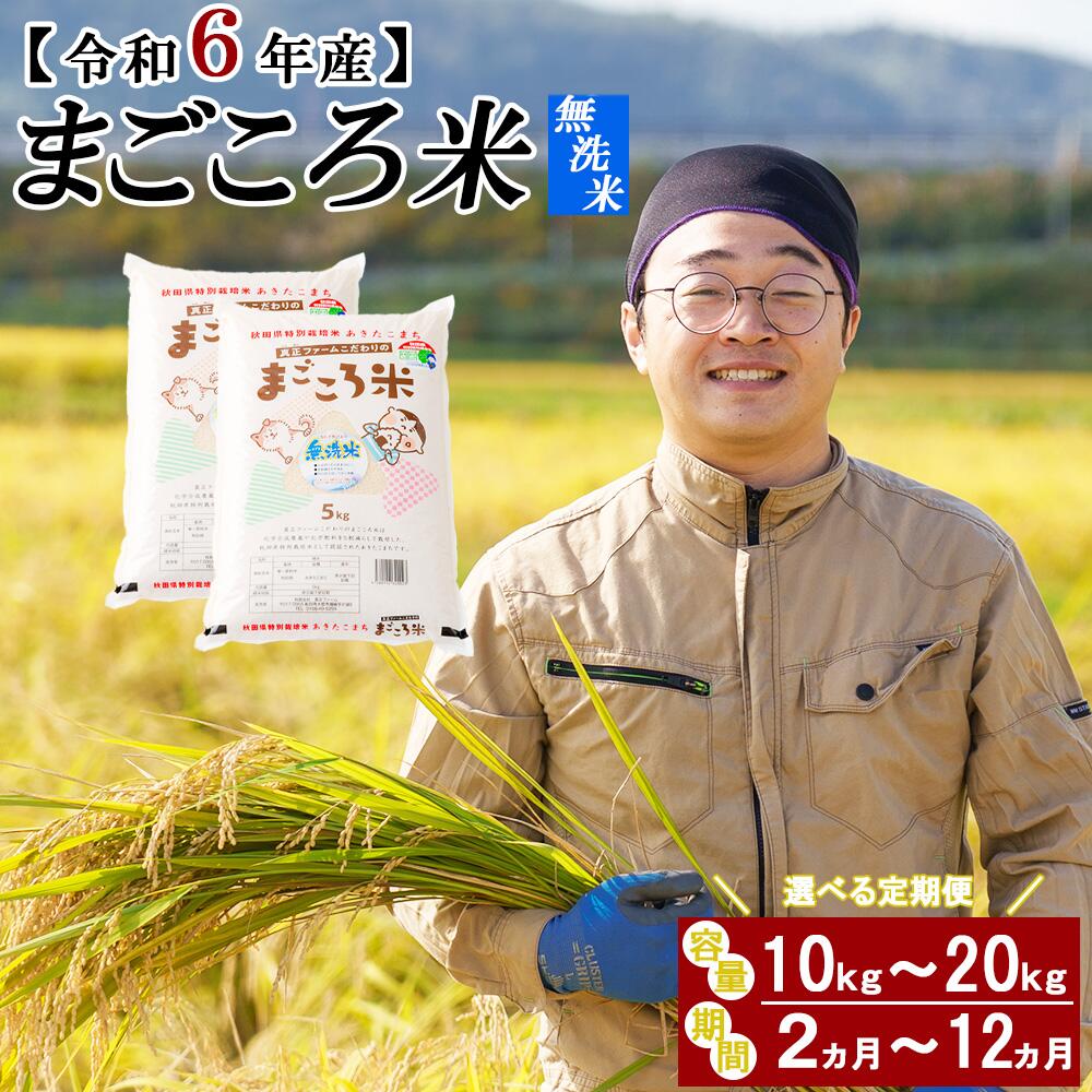 【ふるさと納税】【新米】【期間・容量選べる定期便】秋田県特別栽培米「まごころ米 無洗米」10～20kg 2～12ヵ月 令和6年産 白米 精米 あきたこまち 粘り 大館 国産 旨み 香り お取り寄せ のし対応可能 おにぎり お弁当 東北 真正ファーム 送料無料