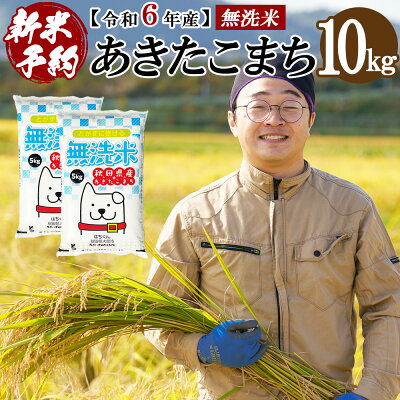 楽天ふるさと納税 【ふるさと納税】【新米】【令和6年産】秋田県産「あきたこまち(無洗米)」 10kg(5kg×2袋) 105P9208