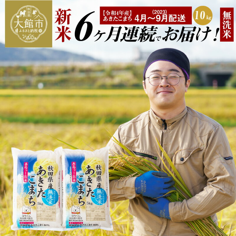 【ふるさと納税】米 定期便 6ヶ月 無洗米 10kg あきたこまち 令和4年産 新米予約 4月～9月配送 秋田県 お米 弁当 おにぎり