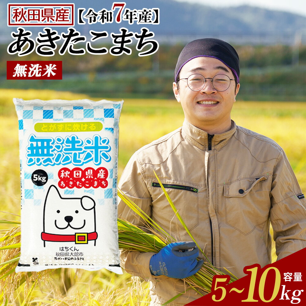 【ふるさと納税】【令和7年産】【選べる容量・お届け回数】秋田県産「あきたこまち」無洗米or普通米 5kg・10kg(5kg×2袋) 1・3回 【2025..