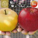 【ふるさと納税】【期間・数量限定】陽気な母さんの店 R7年産 旬の梨とりんご詰合(5kg)75P3406 なし ナシ リンゴ 林檎 詰合せ セット 季節 数量限...