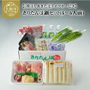 【ふるさと納税】きりたんぽ 鍋 比内地鶏 天然自然水 セット 5人前 6人前 本場 大館 郷土料理 簡単調理 スープ ごぼう まいたけ ねぎ せり 糸こんにゃく...