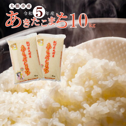 米 10kg あきたこまち 令和5年産 5kg × 2 専用箱入り 精米 白米 お米 粘り 弾力 光沢 モチモチ 弁当 おにぎり 冷めてもおいしい 大館 お取り寄せ 食品 食べ物 東北 秋田県 送料無料 農協 JAあきた北精米センター