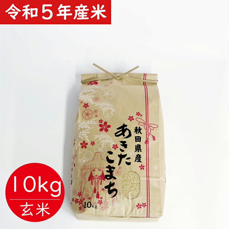 75P9005[令和5年産]さいとうさん家のあきたこまち(玄米)10kg(10kg×1袋)