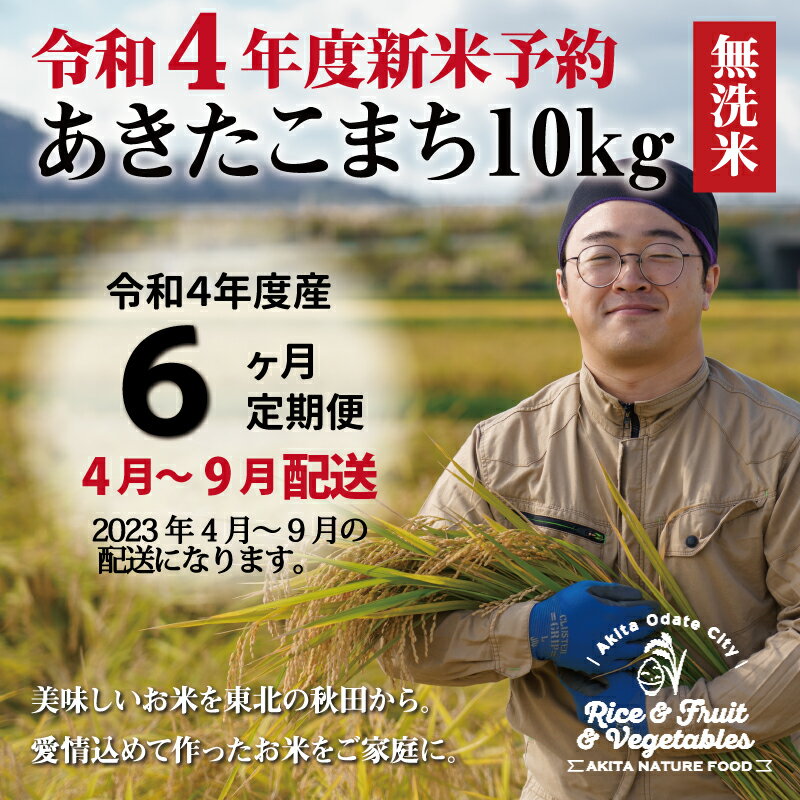 【ふるさと納税】米 定期便 6ヶ月 無洗米 10kg あきたこまち 令和4年産 新米予約 4月～9月配送 秋田県 お米 弁当 おにぎり