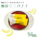 【ふるさと納税】煉屋ミニバナナ14本入　【40P5601】 和菓子 最中 銘菓 スイーツ 老舗 煉屋菓子舗 秋田県 大館市 ご当地グルメ ギフト プレゼント 送料無料