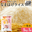 【ふるさと納税】【あきたこまち】なまはげライス5kg　【お米・精米・あきたこまち】